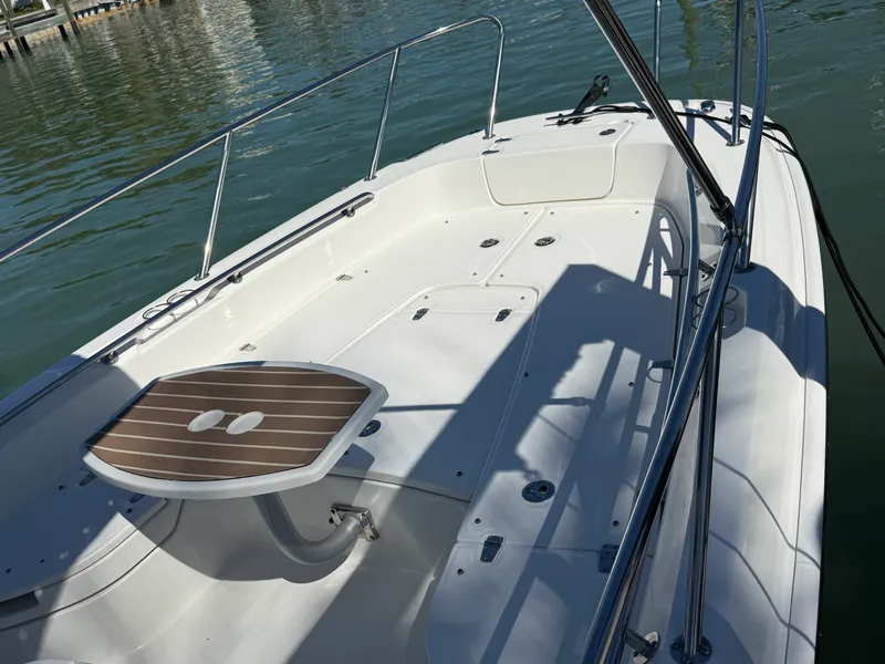 Slide: The Image of Boston Whaler 240 DAUNTLESS 2018 - 20