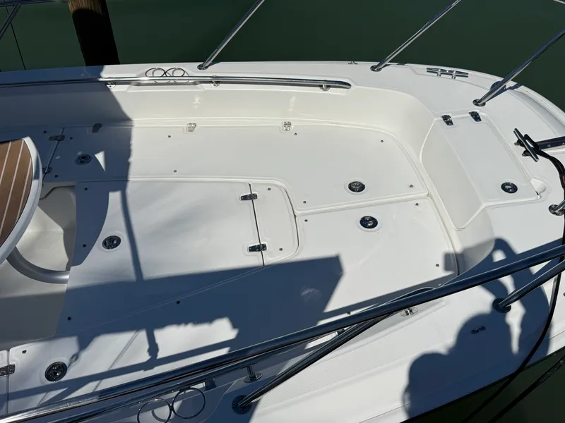 Slide: The Image of Boston Whaler 240 DAUNTLESS 2018 - 21