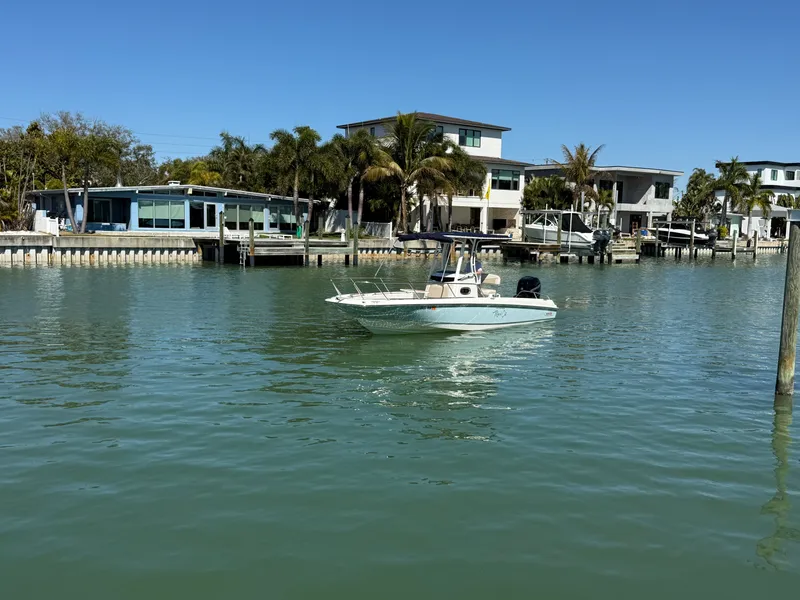 Slide: The Image of Boston Whaler 240 DAUNTLESS 2018 - 25