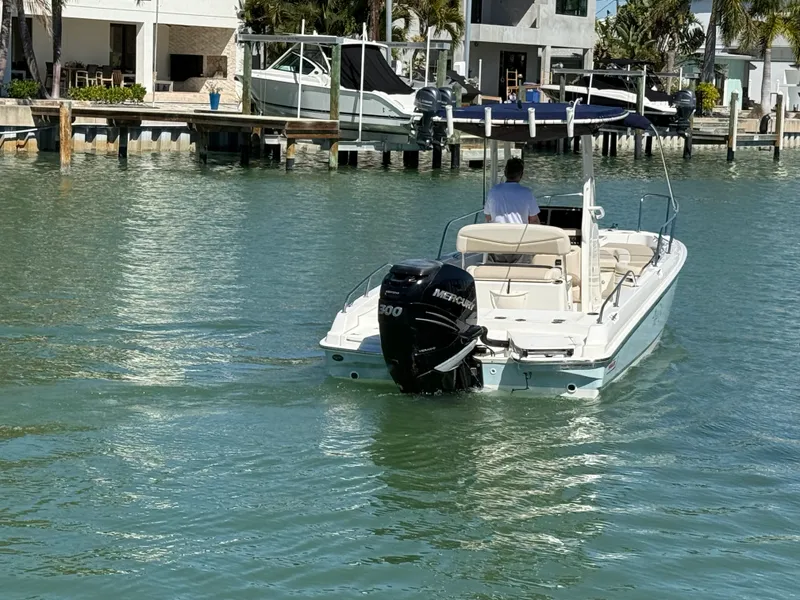 Slide: The Image of Boston Whaler 240 DAUNTLESS 2018 - 27