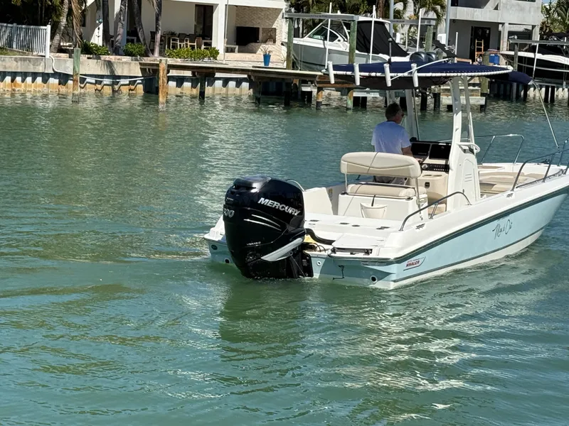 Slide: The Image of Boston Whaler 240 DAUNTLESS 2018 - 28