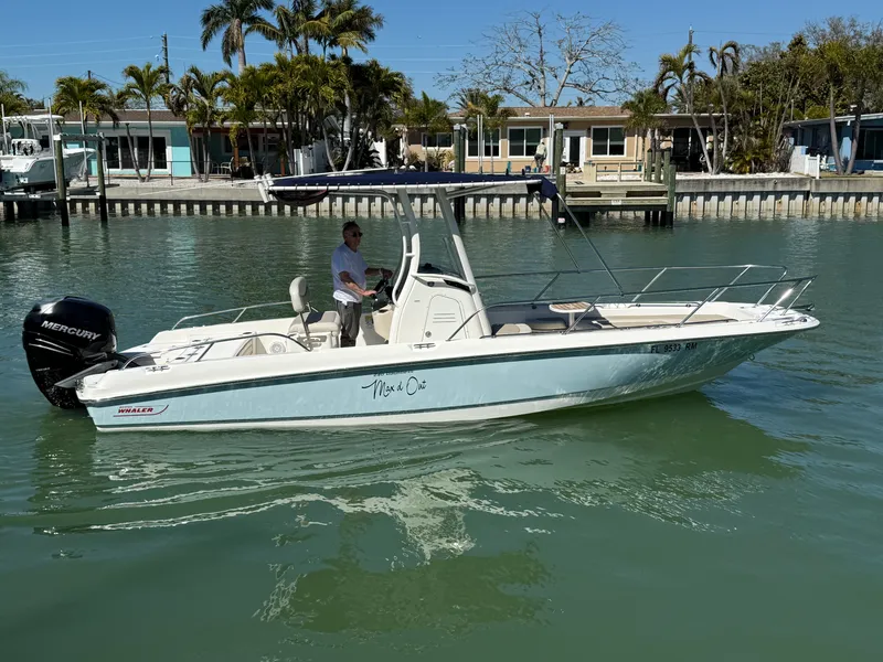 Slide: The Image of Boston Whaler 240 DAUNTLESS 2018 - 31