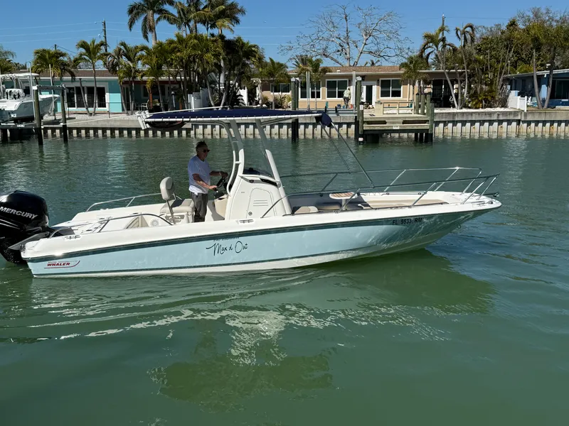 Slide: The Image of Boston Whaler 240 DAUNTLESS 2018 - 32