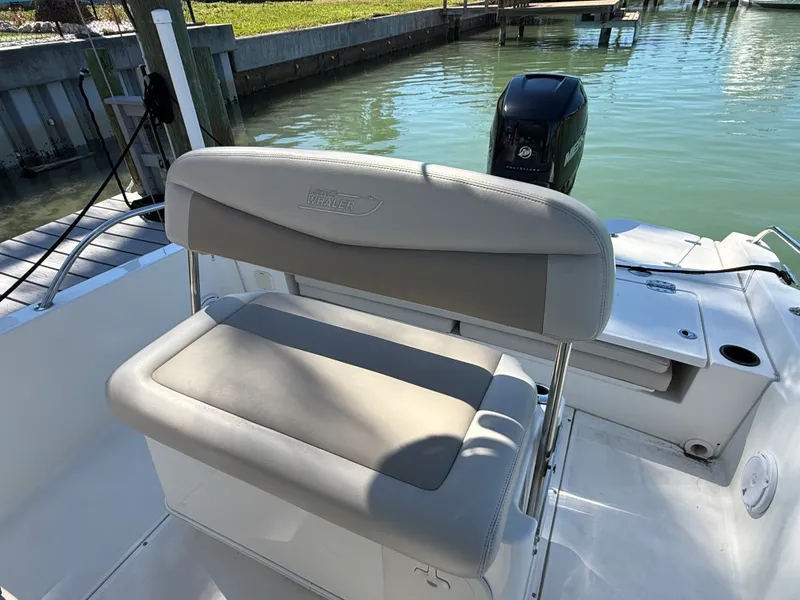 Slide: The Image of Boston Whaler 240 DAUNTLESS 2018 - 46