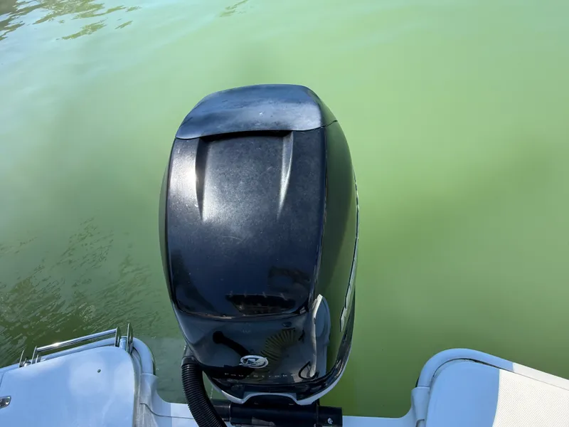 Slide: The Image of Boston Whaler 240 DAUNTLESS 2018 - 64