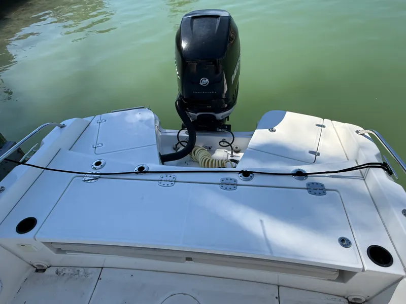 Slide: The Image of Boston Whaler 240 DAUNTLESS 2018 - 65