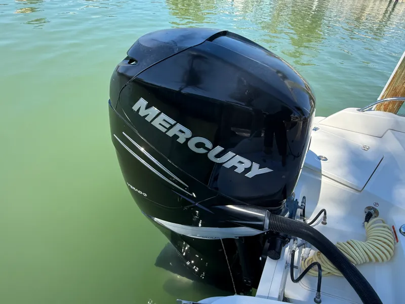 Slide: The Image of Boston Whaler 240 DAUNTLESS 2018 - 66