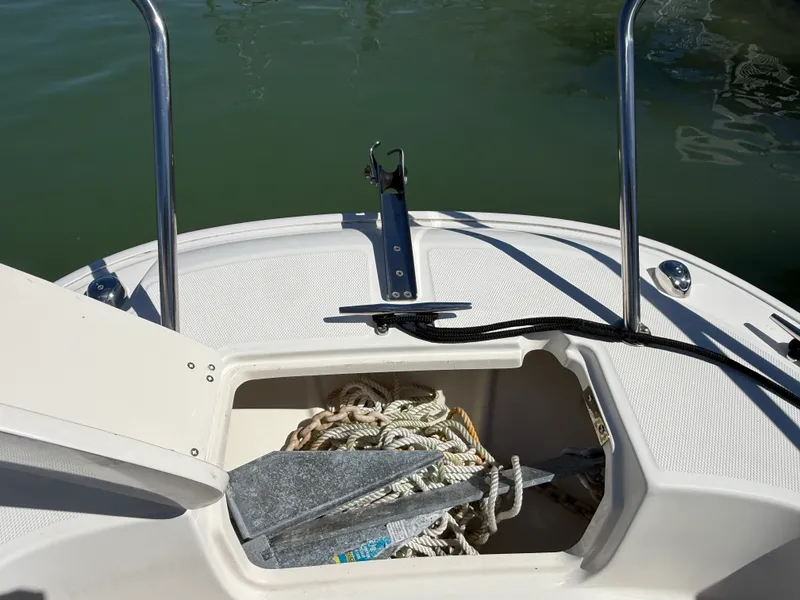Slide: The Image of Boston Whaler 240 DAUNTLESS 2018 - 68