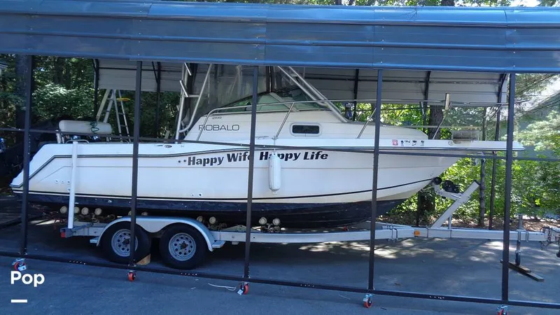 Slide: The Image of Robalo 2440 1999 - 16792970