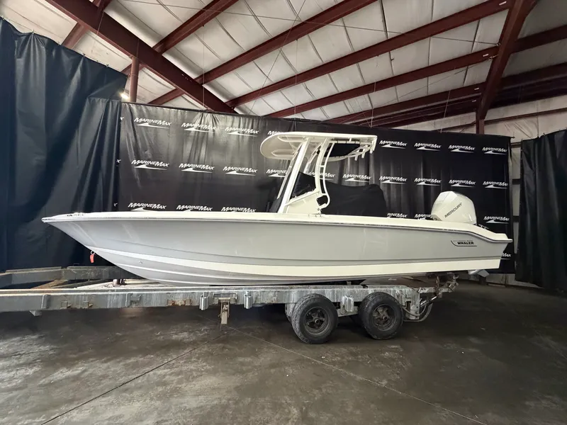 The Image of Boston Whaler 250 Dauntless 2026 - 0
