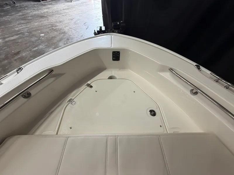 Slide: The Image of Boston Whaler 250 Dauntless 2026 - 16