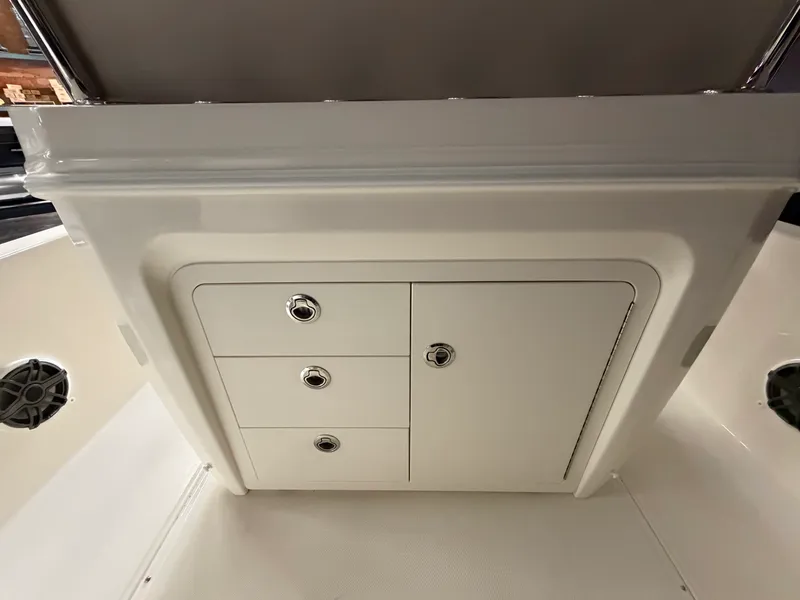 Slide: The Image of Boston Whaler 250 Dauntless 2026 - 30