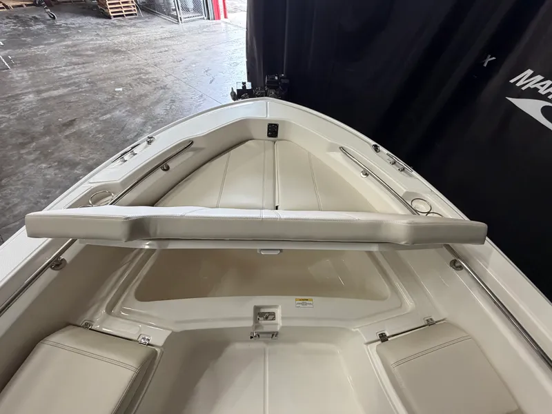 Slide: The Image of Boston Whaler 250 Dauntless 2026 - 39