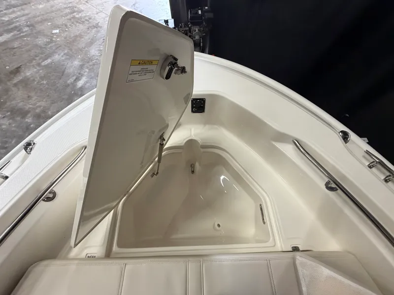 Slide: The Image of Boston Whaler 250 Dauntless 2026 - 44