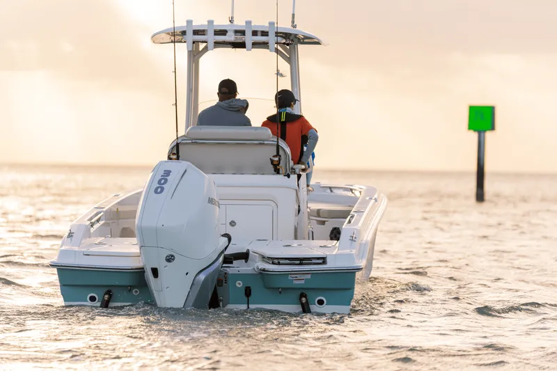 Slide: The Image of Boston Whaler 250 Dauntless 2026 - 12