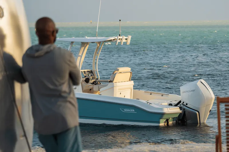 Slide: The Image of Boston Whaler 250 Dauntless 2026 - 26