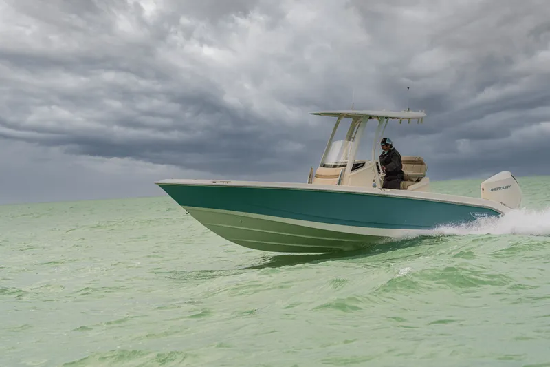 Slide: The Image of Boston Whaler 250 Dauntless 2026 - 29