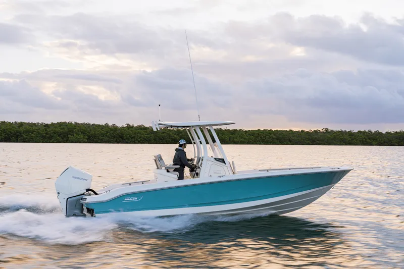 Slide: The Image of Boston Whaler 250 Dauntless 2026 - 39