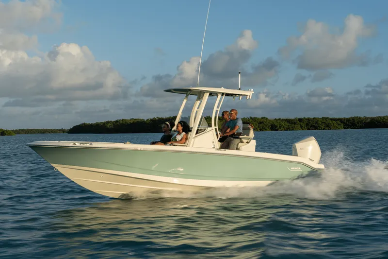 Slide: The Image of Boston Whaler 250 Dauntless 2026 - 47