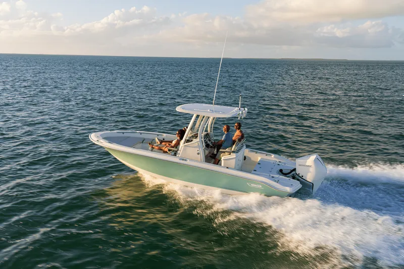 Slide: The Image of Boston Whaler 250 Dauntless 2026 - 5