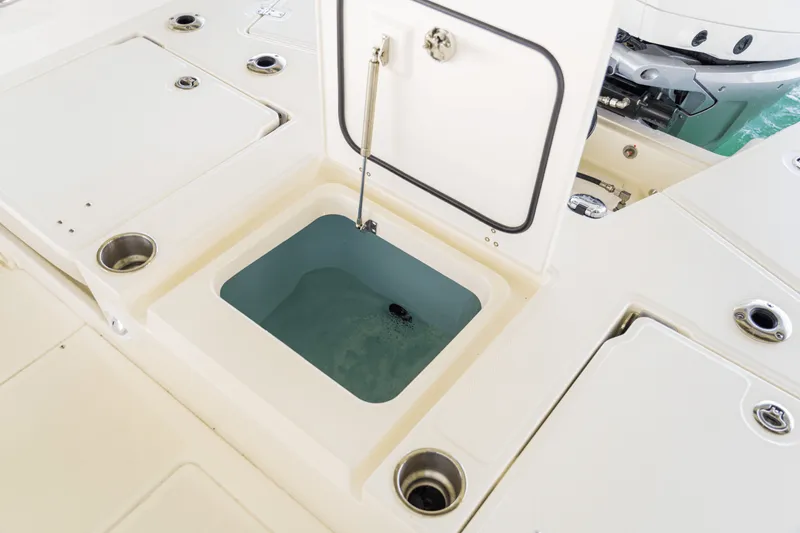 Slide: The Image of Boston Whaler 250 Dauntless 2026 - 53