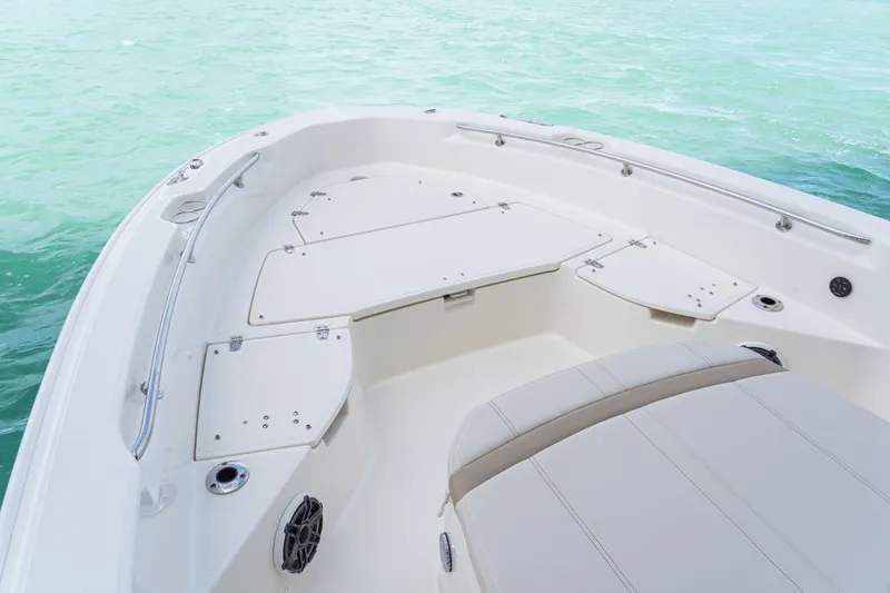 Slide: The Image of Boston Whaler 250 Dauntless 2026 - 59