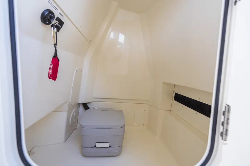 Slide: The Image of Boston Whaler 250 Dauntless 2026 - 65