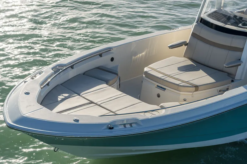Slide: The Image of Boston Whaler 250 Dauntless 2026 - 69