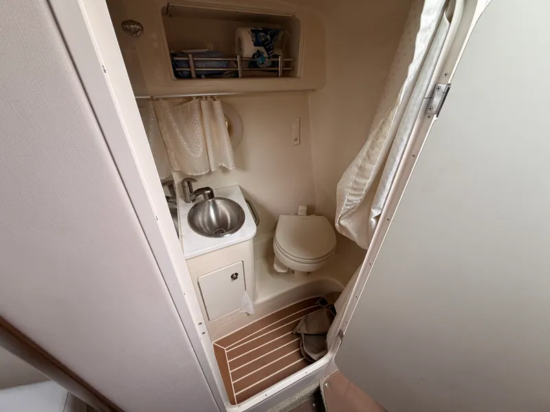 Slide: The Image of Sea Ray 260 SUNDANCER 2017 - 14