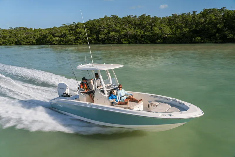 The Image of Boston Whaler 250 Dauntless 2026 - 0