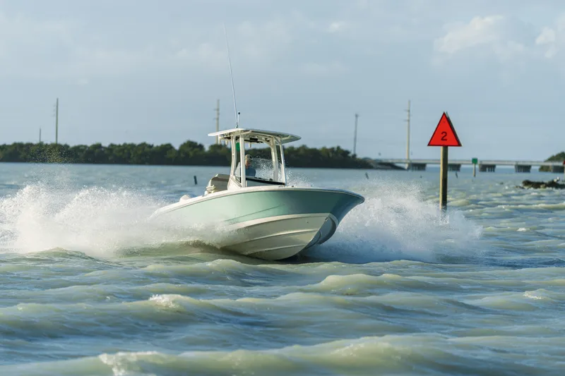 Slide: The Image of Boston Whaler 250 Dauntless 2026 - 23