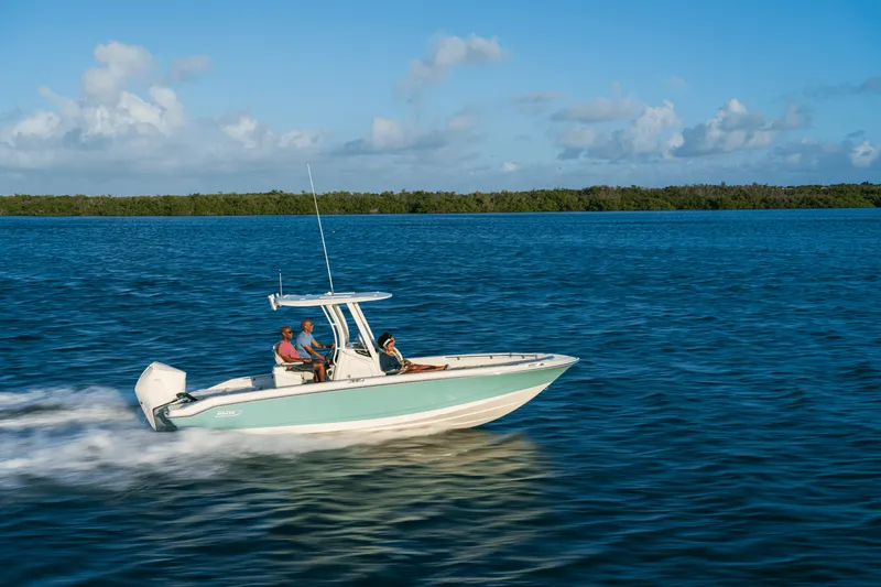 Slide: The Image of Boston Whaler 250 Dauntless 2026 - 26
