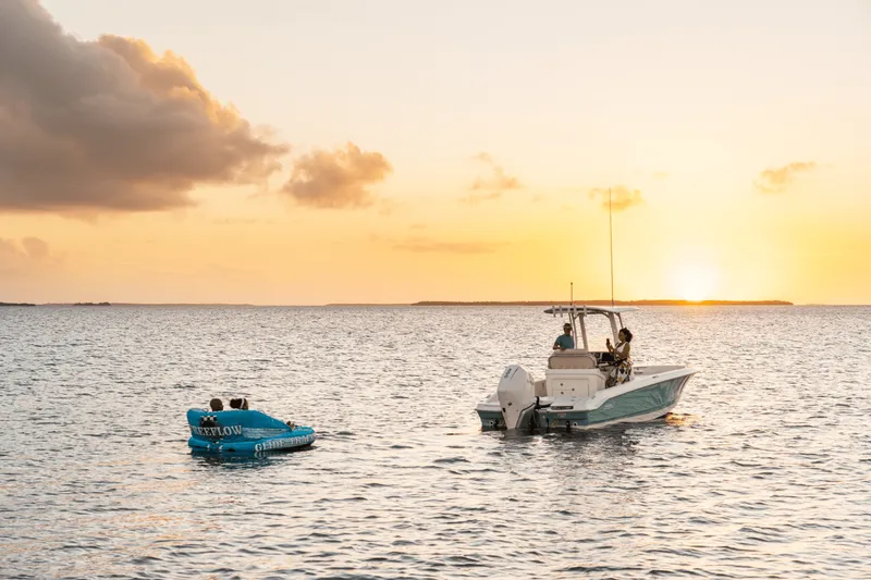 Slide: The Image of Boston Whaler 250 Dauntless 2026 - 31