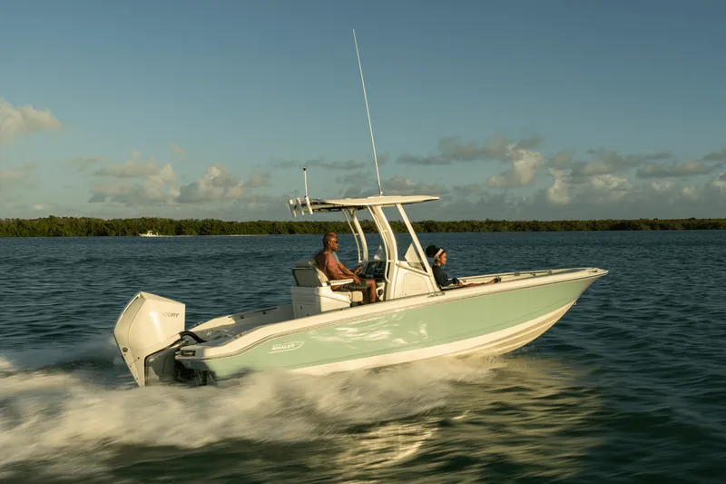 Slide: The Image of Boston Whaler 250 Dauntless 2026 - 33