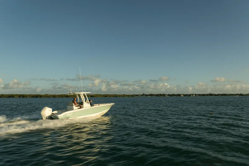 Slide: The Image of Boston Whaler 250 Dauntless 2026 - 34