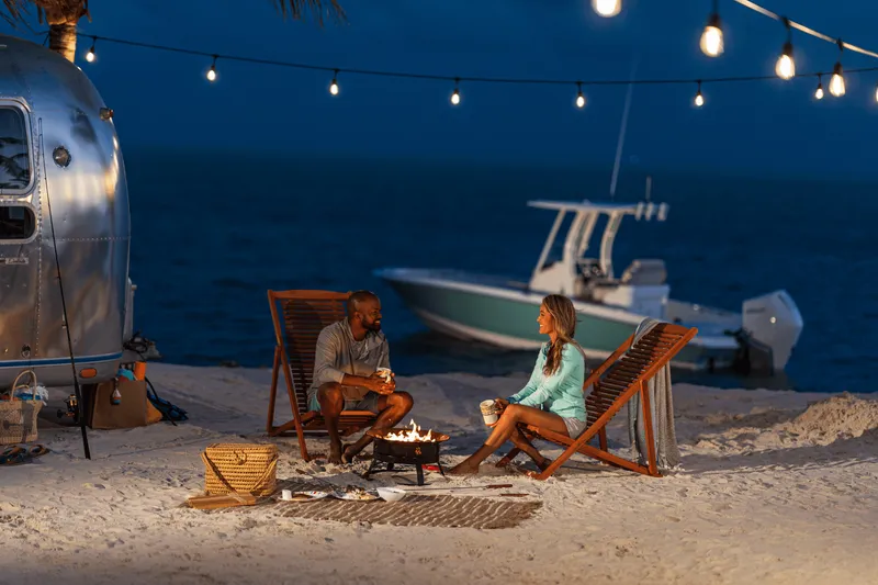 Slide: The Image of Boston Whaler 250 Dauntless 2026 - 42