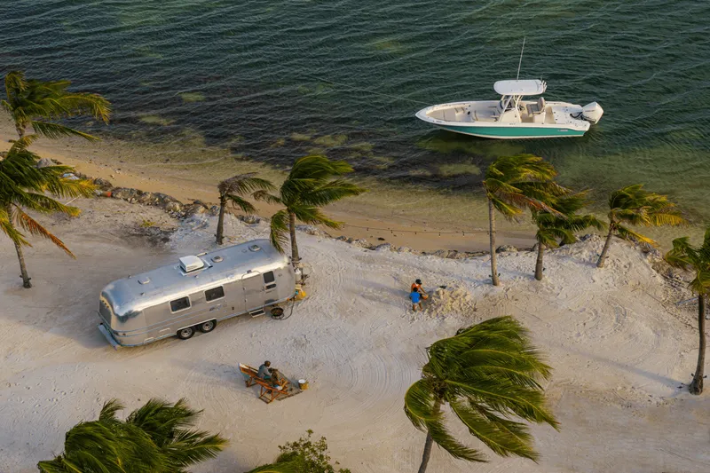 Slide: The Image of Boston Whaler 250 Dauntless 2026 - 43