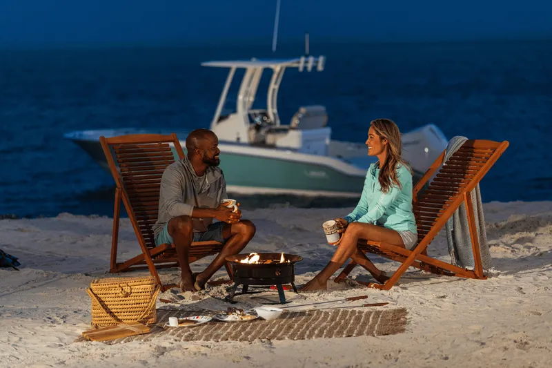 Slide: The Image of Boston Whaler 250 Dauntless 2026 - 44