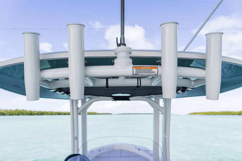 Slide: The Image of Boston Whaler 250 Dauntless 2026 - 48