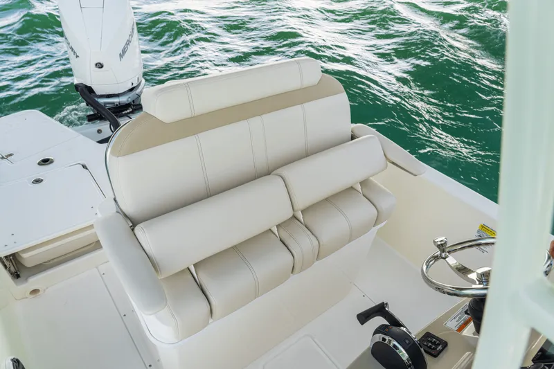 Slide: The Image of Boston Whaler 250 Dauntless 2026 - 56