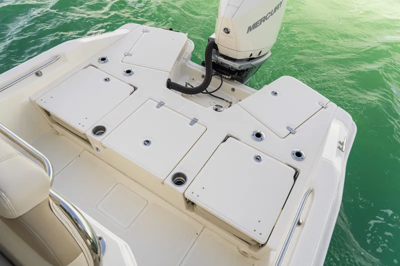 Slide: The Image of Boston Whaler 250 Dauntless 2026 - 61