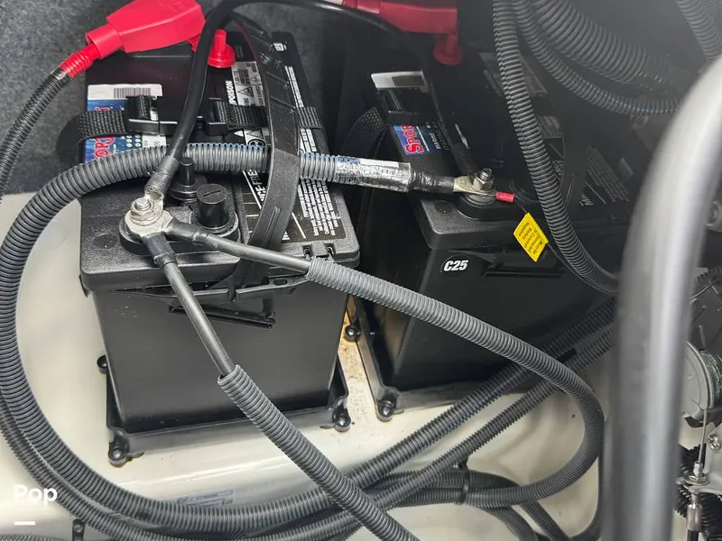 Slide: The Image of Yamaha 252S 2025 - 16639668