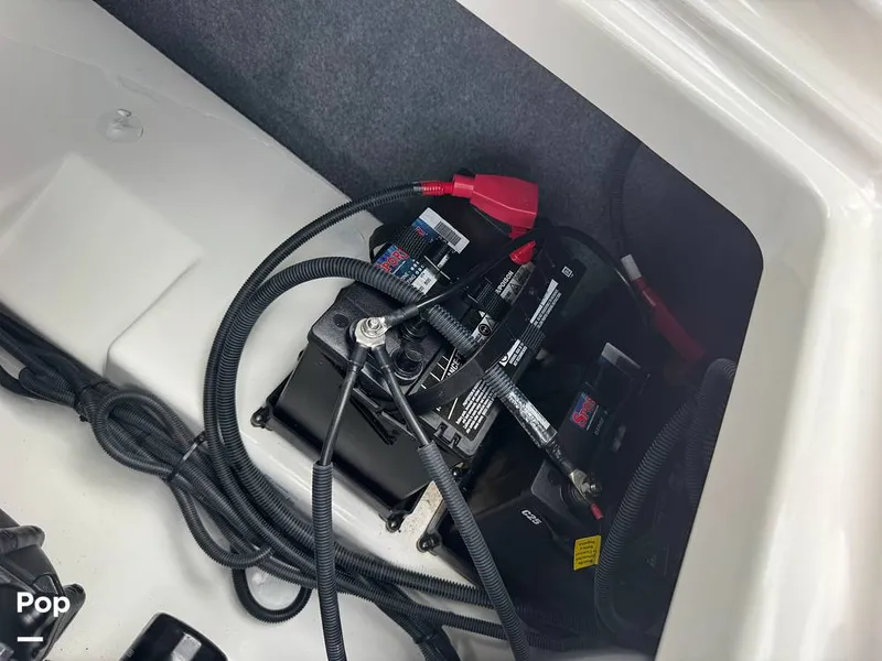 Slide: The Image of Yamaha 252S 2025 - 16639666