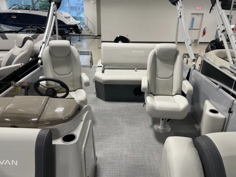 Slide: The Image of Sylvan MIRAGE 822 2025 - 2