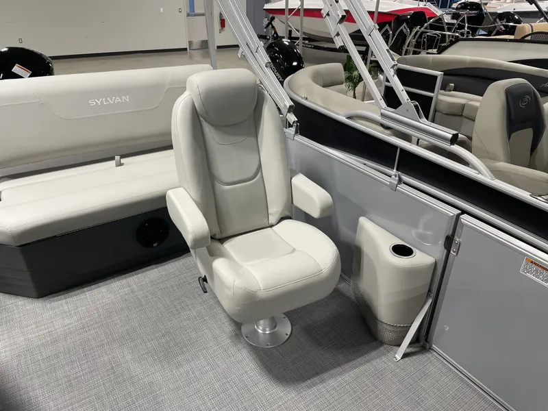 Slide: The Image of Sylvan MIRAGE 822 2025 - 5