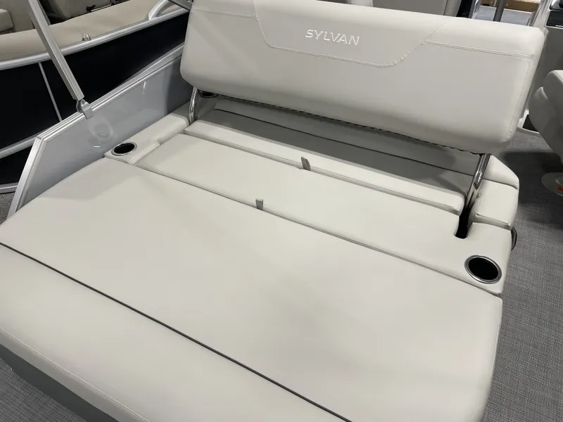 Slide: The Image of Sylvan MIRAGE 822 2025 - 6