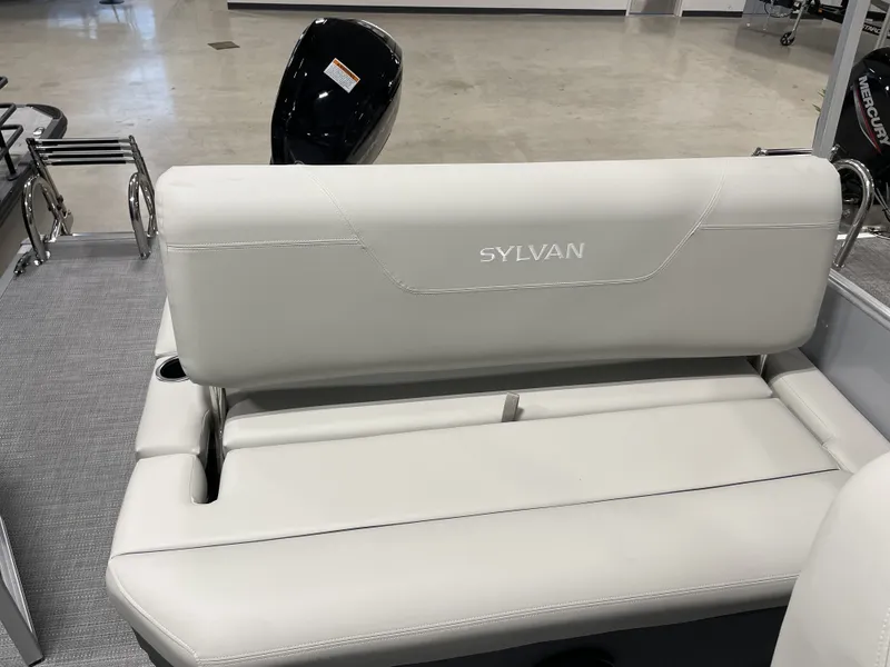 Slide: The Image of Sylvan MIRAGE 822 2025 - 7