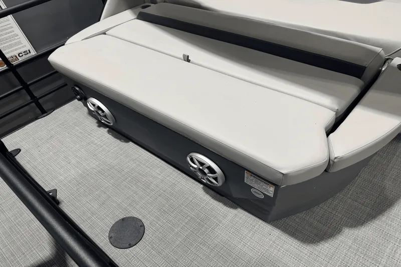 Slide: The Image of Sylvan L5 2025 - 6