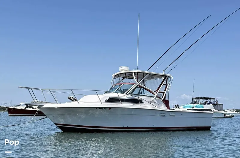 The Image of Wellcraft Coastal 2800 1993 - 16645297