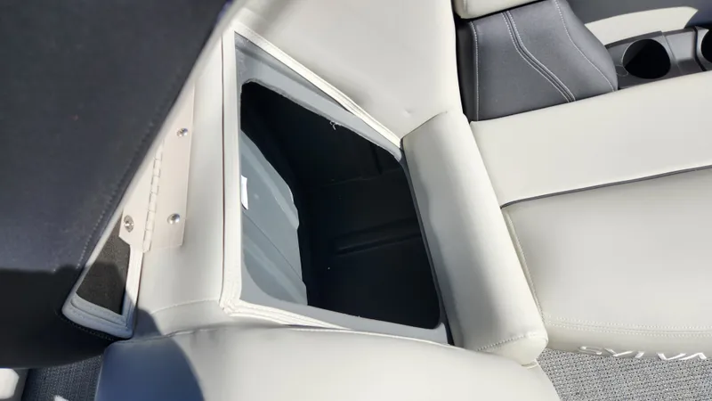 Slide: The Image of Sylvan MIRAGE 8522 2025 - 26